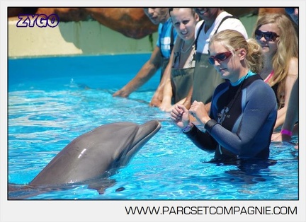 Marineland - Lagoon - Rencontre avec les dauphins - 6333