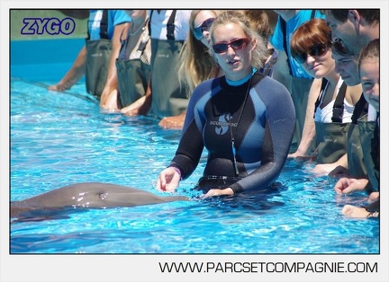 Marineland - Lagoon - Rencontre avec les dauphins - 6334