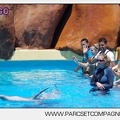 Marineland - Lagoon - Rencontre avec les dauphins - 6335