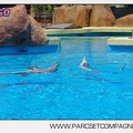 Marineland - Lagoon - Rencontre avec les dauphins - 6336