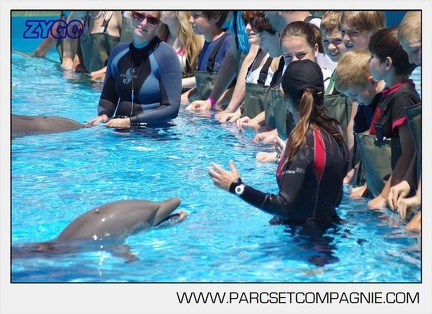 Marineland - Lagoon - Rencontre avec les dauphins - 6337
