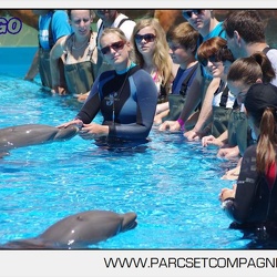 Marineland - Lagoon - Rencontre avec les dauphins