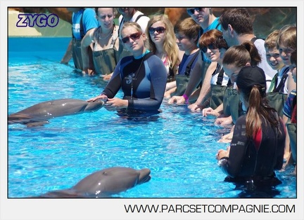 Marineland - Lagoon - Rencontre avec les dauphins - 6338