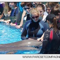 Marineland - Lagoon - Rencontre avec les dauphins - 6339