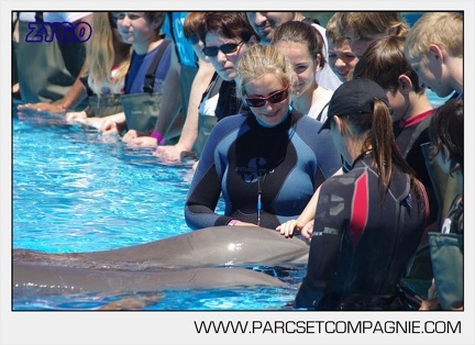 Marineland - Lagoon - Rencontre avec les dauphins - 6339