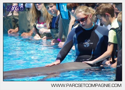 Marineland - Lagoon - Rencontre avec les dauphins - 6340