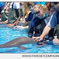 Marineland - Lagoon - Rencontre avec les dauphins - 6341