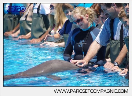 Marineland - Lagoon - Rencontre avec les dauphins - 6341