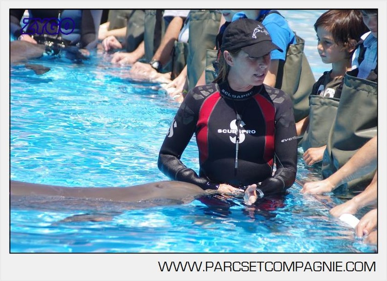Marineland - Lagoon - Rencontre avec les dauphins - 6343