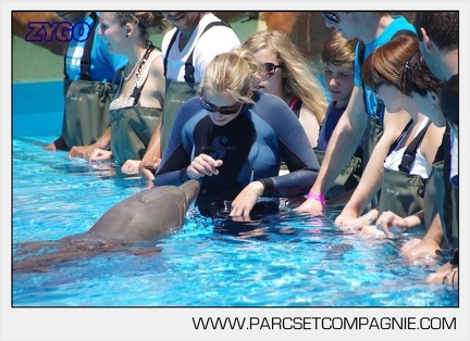 Marineland - Lagoon - Rencontre avec les dauphins - 6344