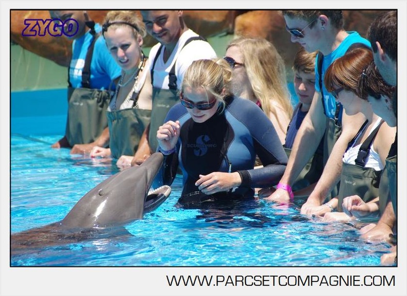 Marineland - Lagoon - Rencontre avec les dauphins - 6345