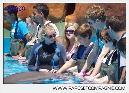Marineland - Lagoon - Rencontre avec les dauphins - 6346