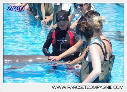 Marineland - Lagoon - Rencontre avec les dauphins - 6347
