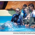 Marineland - Lagoon - Rencontre avec les dauphins - 6348