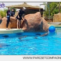 Marineland - Lagoon - Rencontre avec les dauphins - 6349