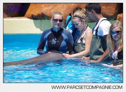 Marineland - Lagoon - Rencontre avec les dauphins - 6350