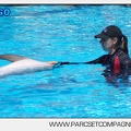 Marineland - Lagoon - Rencontre avec les dauphins - 6352