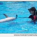 Marineland - Lagoon - Rencontre avec les dauphins - 6353