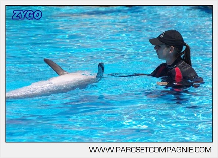 Marineland - Lagoon - Rencontre avec les dauphins - 6353