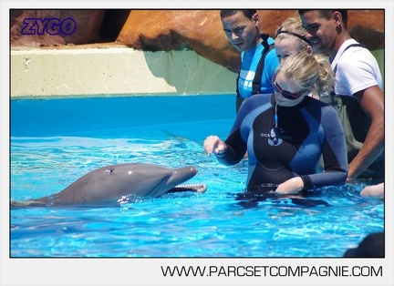 Marineland - Lagoon - Rencontre avec les dauphins - 6354