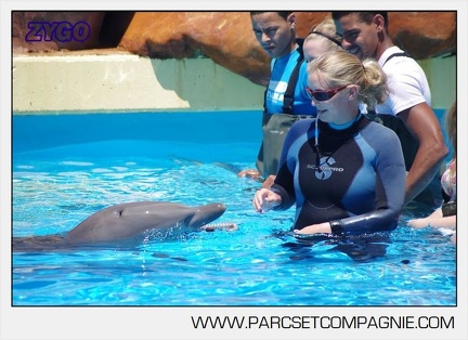 Marineland - Lagoon - Rencontre avec les dauphins - 6355