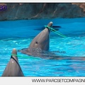 Marineland - Lagoon - Rencontre avec les dauphins - 6357