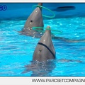 Marineland - Lagoon - Rencontre avec les dauphins - 6358