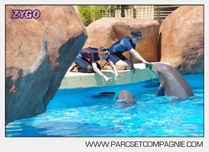 Marineland - Lagoon - Rencontre avec les dauphins - 6359