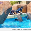 Marineland - Lagoon - Rencontre avec les dauphins - 6360