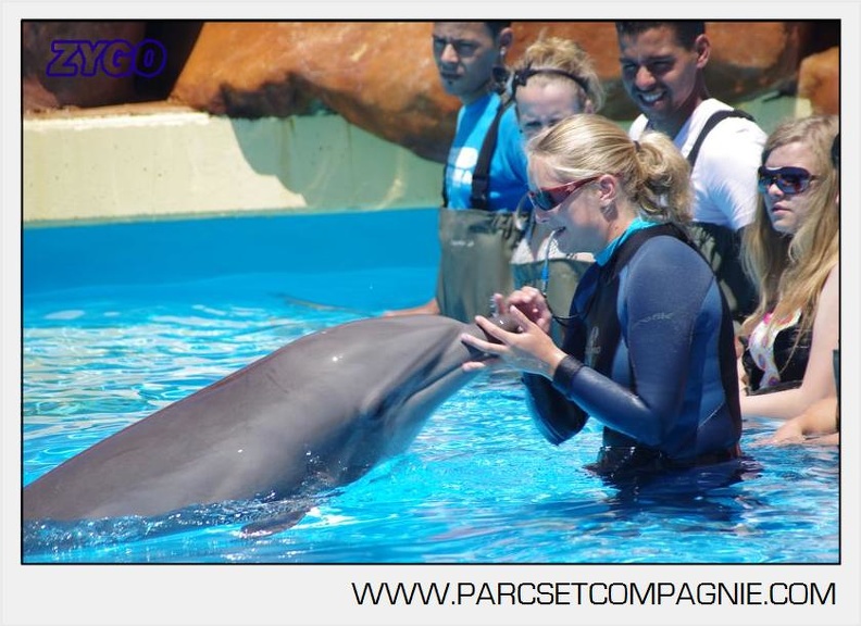 Marineland - Lagoon - Rencontre avec les dauphins - 6361