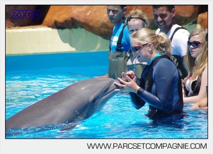 Marineland - Lagoon - Rencontre avec les dauphins - 6361