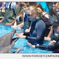 Marineland - Lagoon - Rencontre avec les dauphins - 6362
