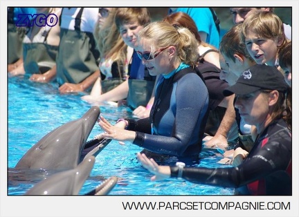 Marineland - Lagoon - Rencontre avec les dauphins - 6362