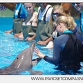 Marineland - Lagoon - Rencontre avec les dauphins - 6363