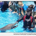 Marineland - Lagoon - Rencontre avec les dauphins - 6364