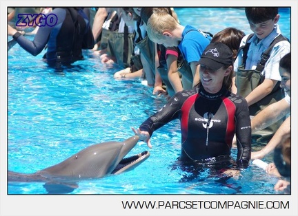 Marineland - Lagoon - Rencontre avec les dauphins - 6364