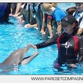 Marineland - Lagoon - Rencontre avec les dauphins - 6365