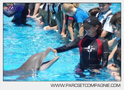 Marineland - Lagoon - Rencontre avec les dauphins - 6365