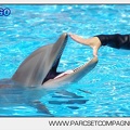 Marineland - Lagoon - Rencontre avec les dauphins - 6367