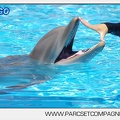 Marineland - Lagoon - Rencontre avec les dauphins - 6368