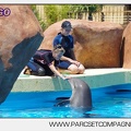 Marineland - Lagoon - Rencontre avec les dauphins - 6369