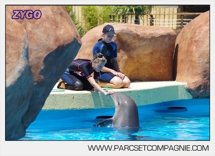 Marineland - Lagoon - Rencontre avec les dauphins - 6369