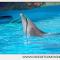 Marineland - Lagoon - Rencontre avec les dauphins - 6370