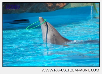 Marineland - Lagoon - Rencontre avec les dauphins - 6370