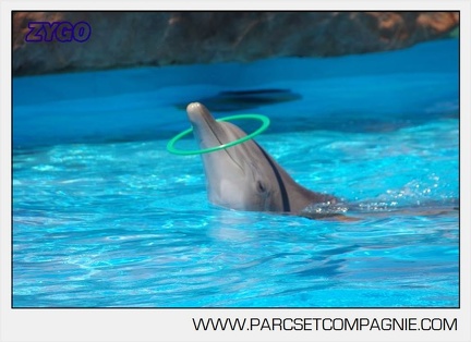 Marineland - Lagoon - Rencontre avec les dauphins - 6371