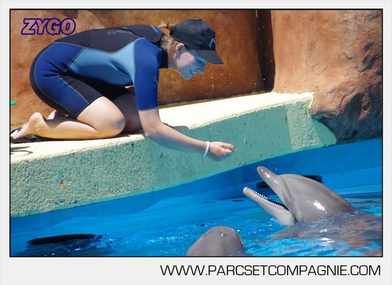 Marineland - Lagoon - Rencontre avec les dauphins - 6372