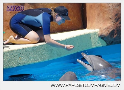 Marineland - Lagoon - Rencontre avec les dauphins - 6372