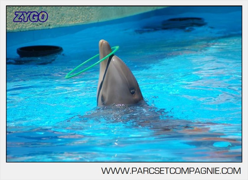 Marineland - Lagoon - Rencontre avec les dauphins - 6374