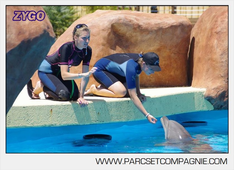 Marineland - Lagoon - Rencontre avec les dauphins - 6375