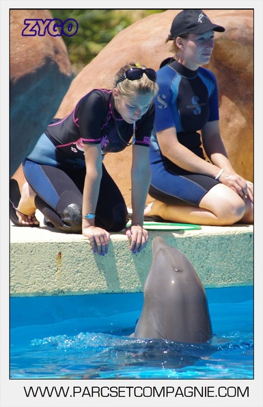 Marineland - Lagoon - Rencontre avec les dauphins - 6377